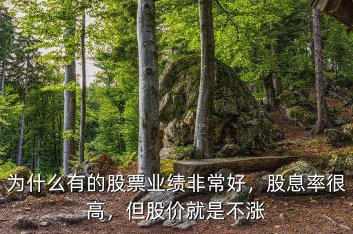 為什么有的股票業(yè)績非常好，股息率很高，但股價(jià)就是不漲
