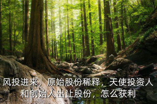 風投進來，原始股份稀釋，天使投資人和創(chuàng)始人出讓股份，怎么獲利