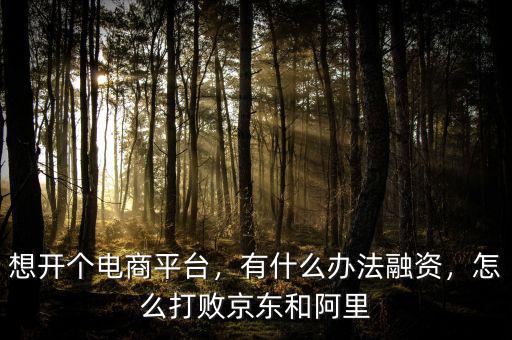 想開個電商平臺，有什么辦法融資，怎么打敗京東和阿里