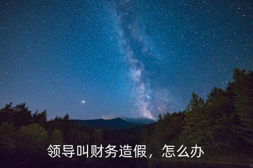 領(lǐng)導(dǎo)叫財(cái)務(wù)造假，怎么辦