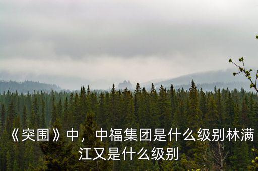 宋林是什么級(jí)別,林滿(mǎn)江又是什么級(jí)別