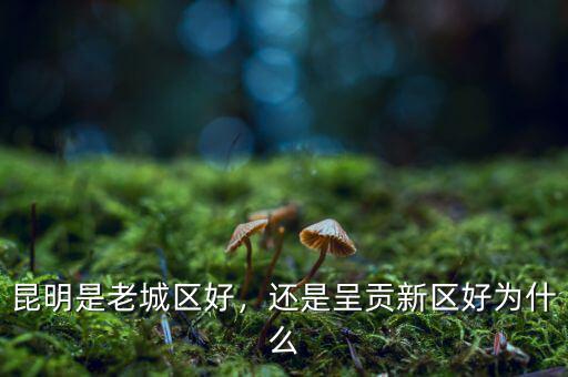 昆明是老城區(qū)好，還是呈貢新區(qū)好為什么