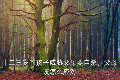 十二三歲的孩子威脅父母要自殺，父母該怎么應(yīng)對