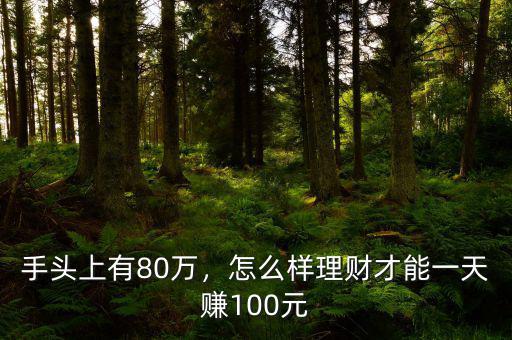 手頭上有80萬，怎么樣理財才能一天賺100元