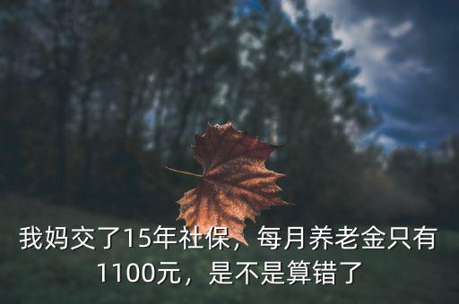 我媽交了15年社保，每月養(yǎng)老金只有1100元，是不是算錯了
