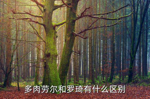 羅琦有多少財產,多肉勞爾和羅琦有什么區(qū)別