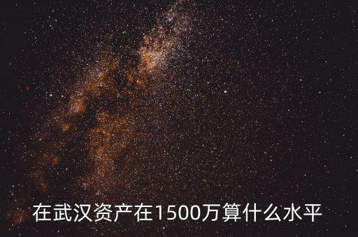 1000萬資產在武漢算什么層次,資產1000萬