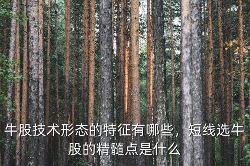 牛股技術(shù)形態(tài)的特征有哪些，短線選牛股的精髓點是什么