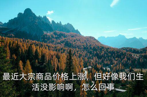 最近大宗商品價格上漲，但好像我們生活沒影響啊，怎么回事