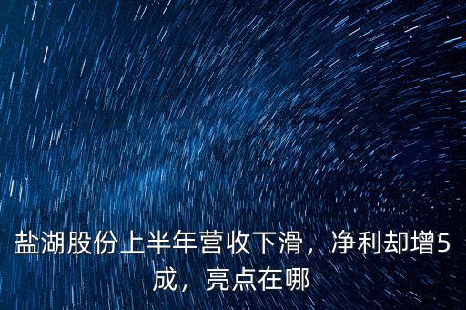 鹽湖股份上半年?duì)I收下滑，凈利卻增5成，亮點(diǎn)在哪