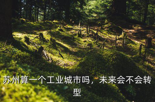 蘇州算一個(gè)工業(yè)城市嗎，未來會(huì)不會(huì)轉(zhuǎn)型