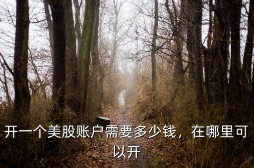 開一個美股賬戶需要多少錢，在哪里可以開