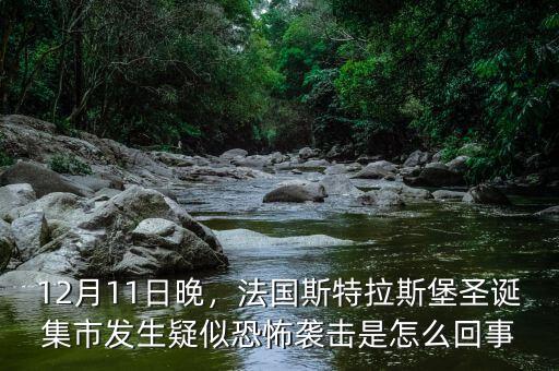12月11日晚，法國斯特拉斯堡圣誕集市發(fā)生疑似恐怖襲擊是怎么回事