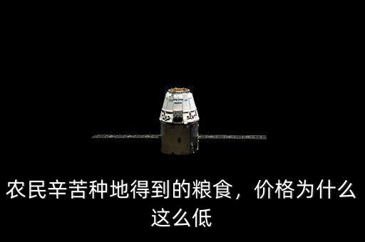 農(nóng)民辛苦種地得到的糧食，價(jià)格為什么這么低
