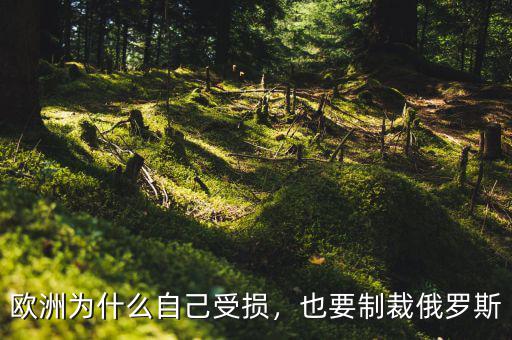 歐洲為什么自己受損，也要制裁俄羅斯