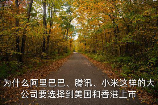 為什么阿里巴巴、騰訊、小米這樣的大公司要選擇到美國和香港上市