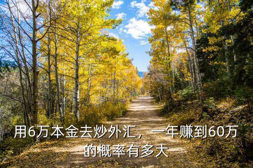 用6萬本金去炒外匯，一年賺到60萬的概率有多大