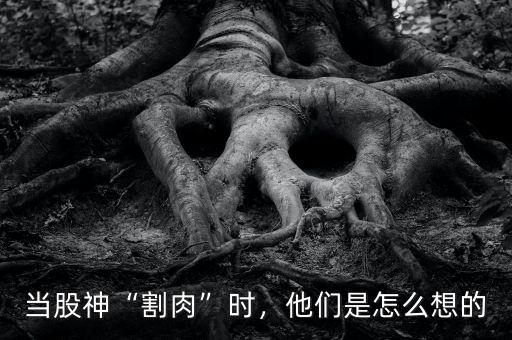 當股神“割肉”時，他們是怎么想的