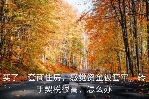 買了一套商住房，感覺資金被套牢，轉(zhuǎn)手契稅很高，怎么辦