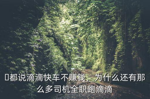 ?都說(shuō)滴滴快車不賺錢，為什么還有那么多司機(jī)全職跑滴滴