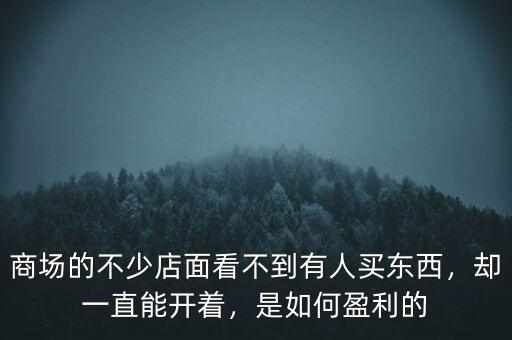 商場的不少店面看不到有人買東西，卻一直能開著，是如何盈利的