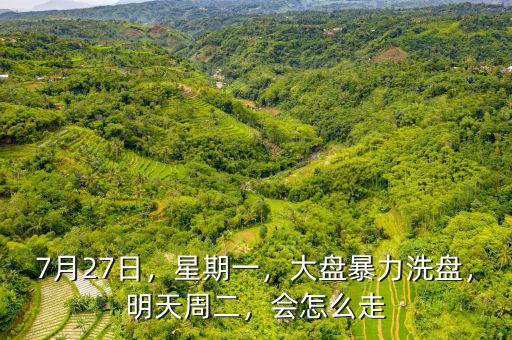 7月27日，星期一，大盤暴力洗盤，明天周二，會怎么走