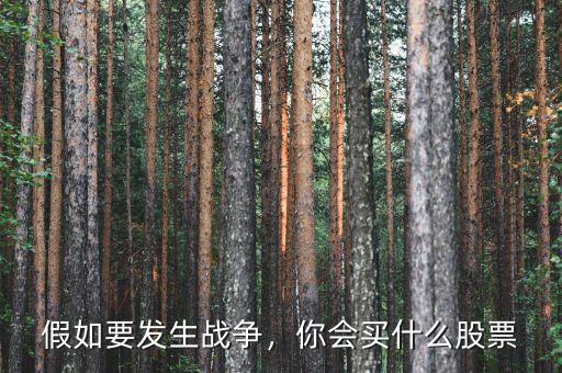 假如要發(fā)生戰(zhàn)爭，你會買什么股票