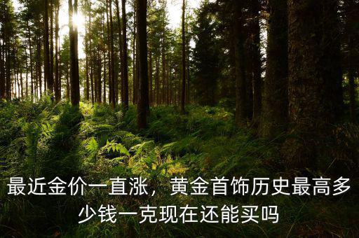 最近金價一直漲，黃金首飾歷史最高多少錢一克現(xiàn)在還能買嗎