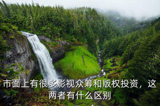 市面上有很多影視眾籌和版權(quán)投資，這兩者有什么區(qū)別