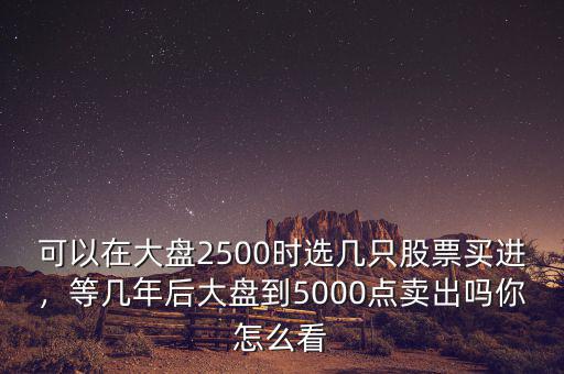 可以在大盤2500時選幾只股票買進(jìn)，等幾年后大盤到5000點賣出嗎你怎么看