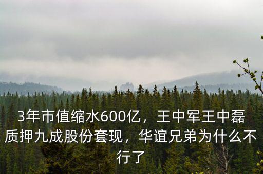 3年市值縮水600億，王中軍王中磊質(zhì)押九成股份套現(xiàn)，華誼兄弟為什么不行了
