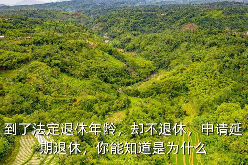 到了法定退休年齡，卻不退休，申請延期退休，你能知道是為什么