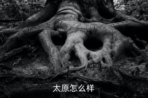 為什么太原經濟不行,山西太原的經濟情況怎么樣