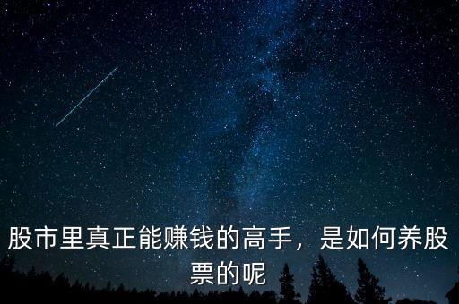 股市里真正能賺錢的高手，是如何養(yǎng)股票的呢