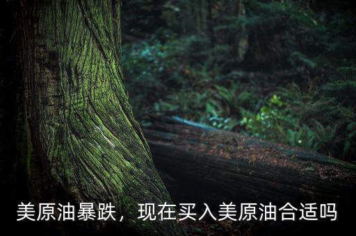 美原油暴跌，現(xiàn)在買入美原油合適嗎