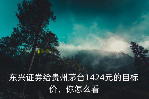 東興證券給貴州茅臺(tái)1424元的目標(biāo)價(jià)，你怎么看