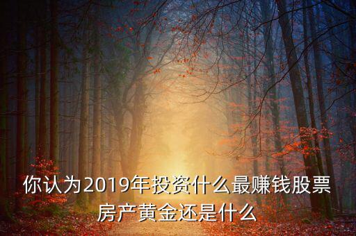 你認(rèn)為2019年投資什么最賺錢股票房產(chǎn)黃金還是什么