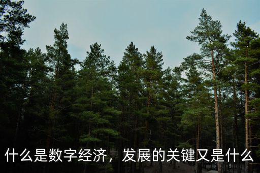什么是數(shù)字經(jīng)濟，發(fā)展的關(guān)鍵又是什么