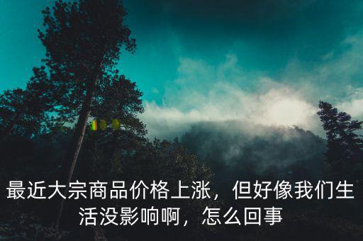 最近大宗商品價(jià)格上漲，但好像我們生活沒影響啊，怎么回事