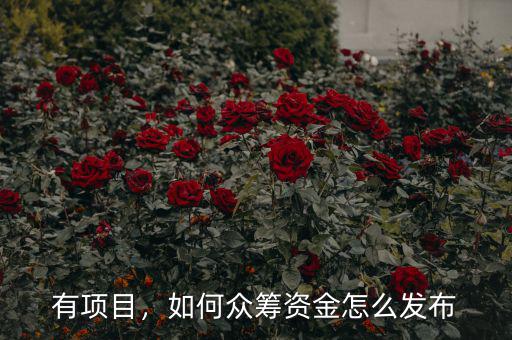 有項(xiàng)目，如何眾籌資金怎么發(fā)布