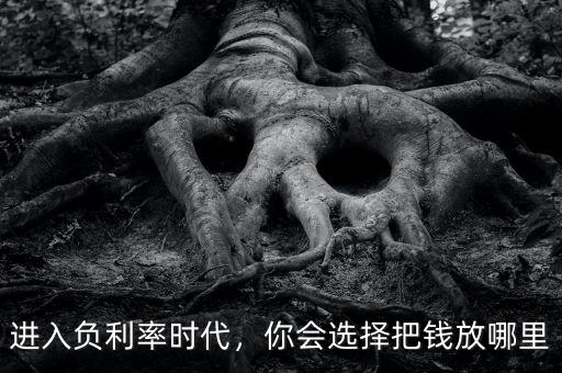進入負利率時代，你會選擇把錢放哪里
