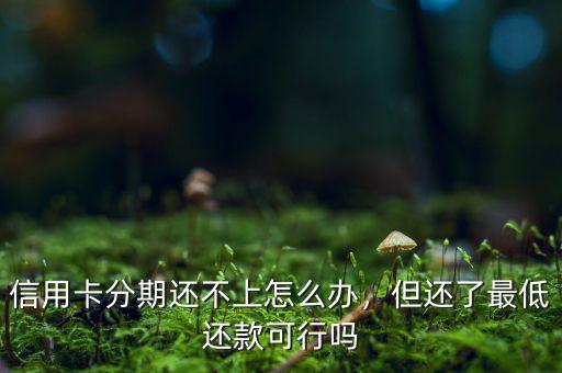 信用卡分期還不上怎么辦，但還了最低還款可行嗎