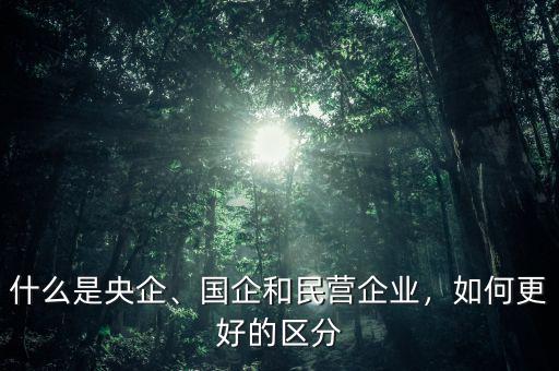 什么是央企、國企和民營企業(yè)，如何更好的區(qū)分