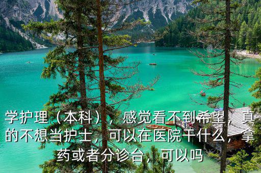 學護理（本科），感覺看不到希望，真的不想當護士，可以在醫(yī)院干什么，拿藥或者分診臺，可以嗎