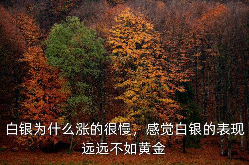 白銀為什么漲的很慢，感覺(jué)白銀的表現(xiàn)遠(yuǎn)遠(yuǎn)不如黃金
