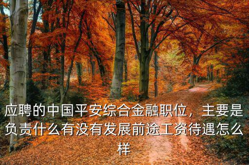 應(yīng)聘的中國平安綜合金融職位，主要是負(fù)責(zé)什么有沒有發(fā)展前途工資待遇怎么樣