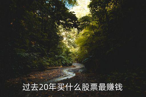 過(guò)去20年買(mǎi)什么股票最賺錢(qián)