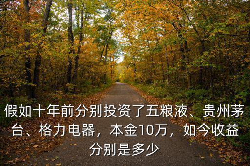 假如十年前分別投資了五糧液、貴州茅臺、格力電器，本金10萬，如今收益分別是多少