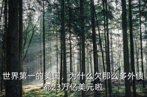 世界第一的美國，為什么欠那么多外債都23萬億美元啦