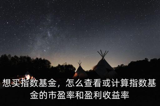 想買(mǎi)指數(shù)基金，怎么查看或計(jì)算指數(shù)基金的市盈率和盈利收益率
